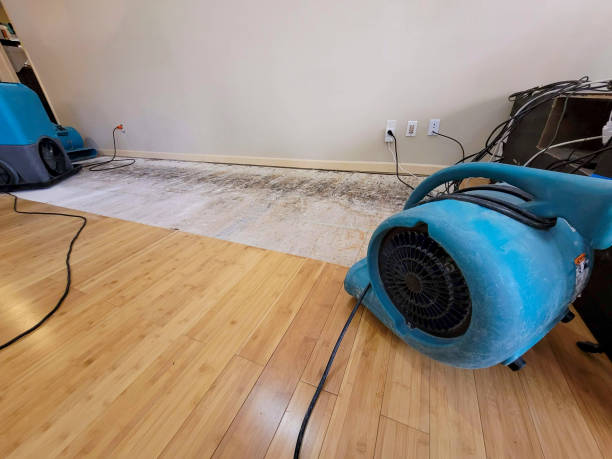 Professional Basement Flood Cleanup technician working in Hillrose, CO